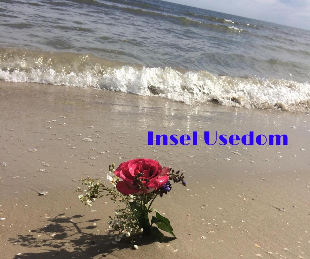 Ferienwohnung Mit Terrasse - Insel Usedom Trassenheide Buitenkant foto
