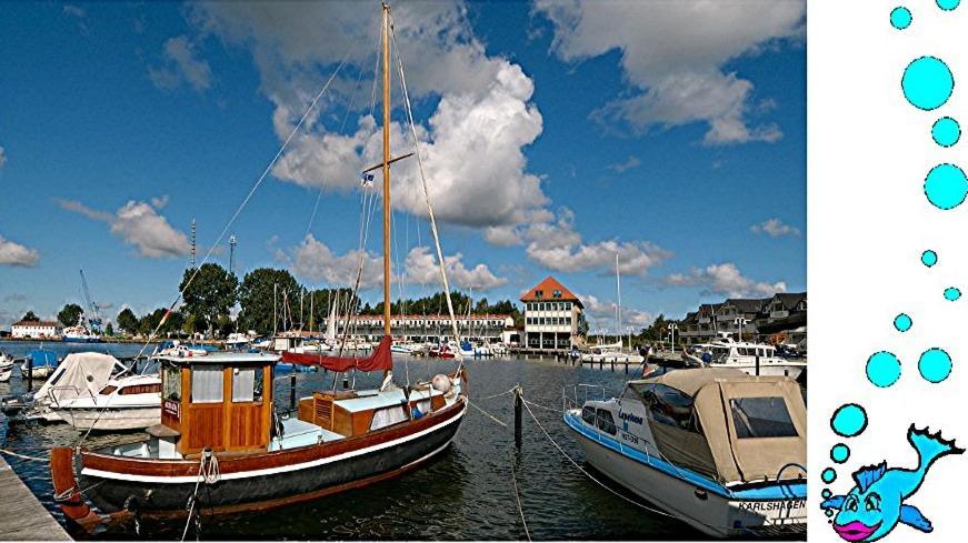 Ferienwohnung Mit Terrasse - Insel Usedom Trassenheide Buitenkant foto
