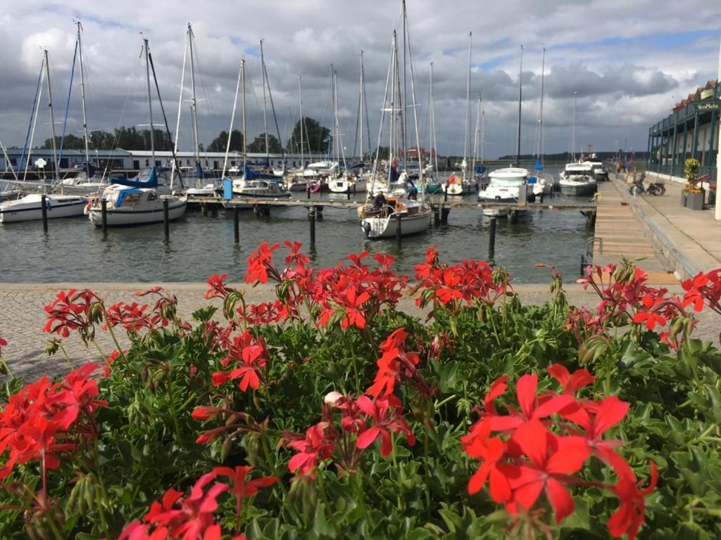 Ferienwohnung Mit Terrasse - Insel Usedom Trassenheide Buitenkant foto