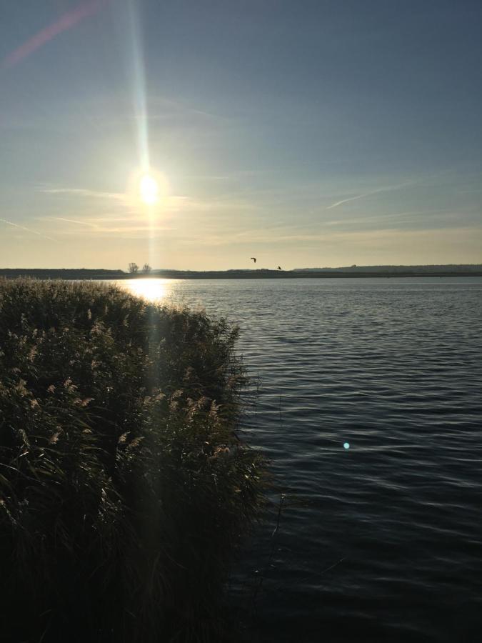 Ferienwohnung Mit Terrasse - Insel Usedom Trassenheide Buitenkant foto