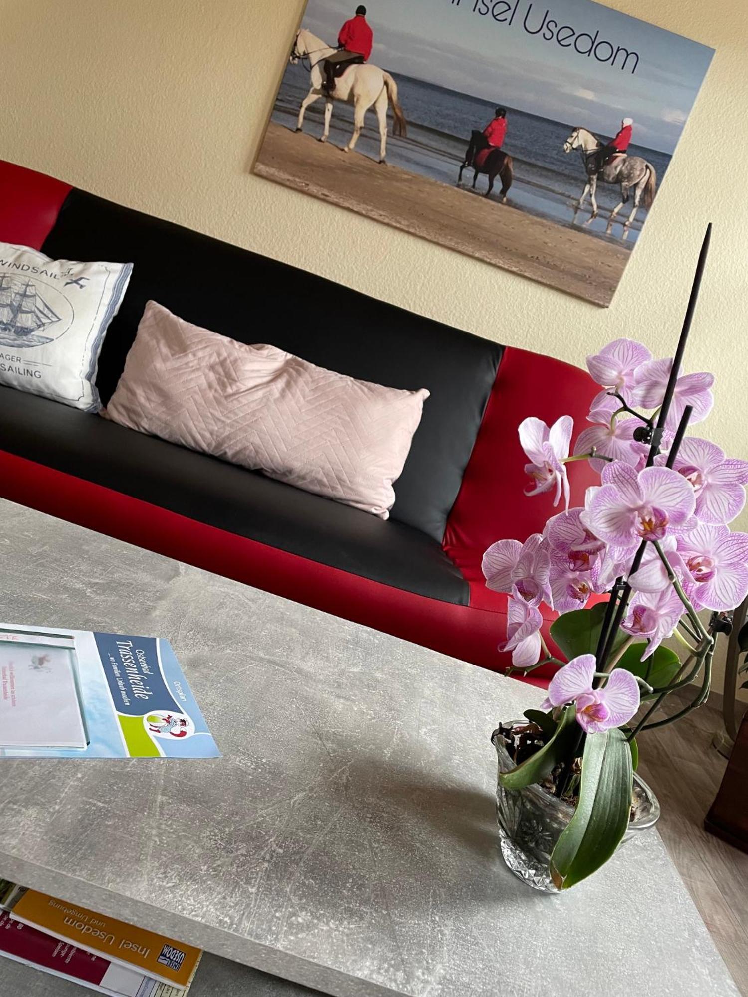 Ferienwohnung Mit Terrasse - Insel Usedom Trassenheide Buitenkant foto