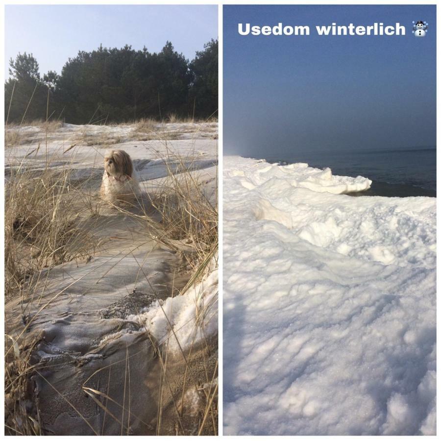 Ferienwohnung Mit Terrasse - Insel Usedom Trassenheide Buitenkant foto